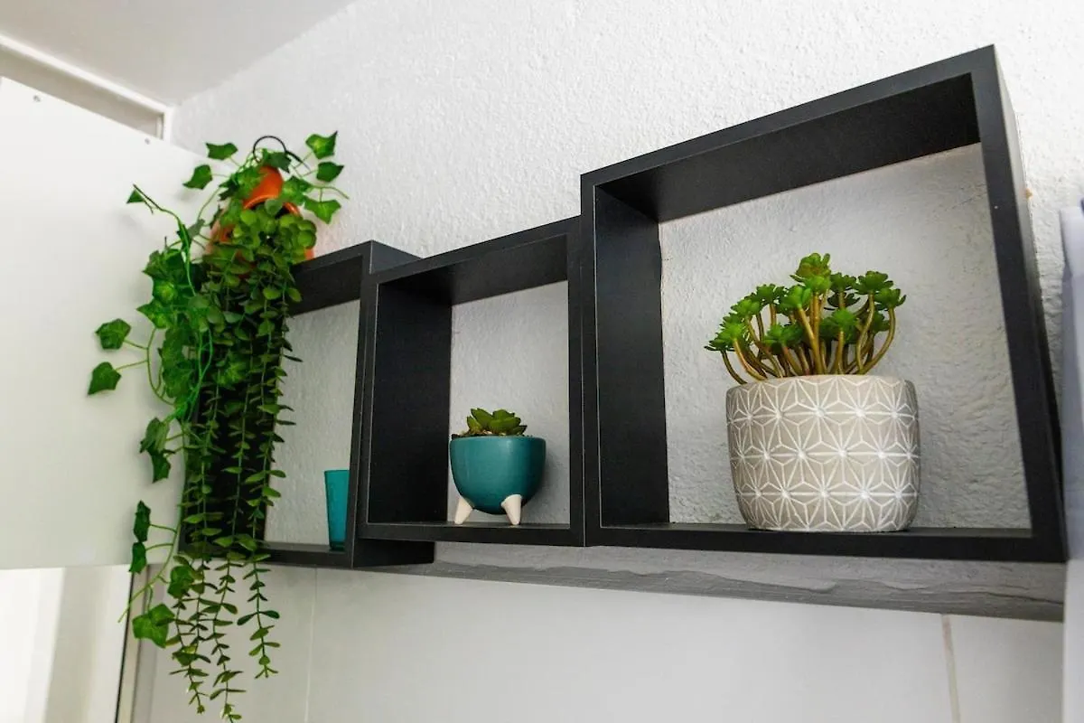 Flat Apartment Les Abymes